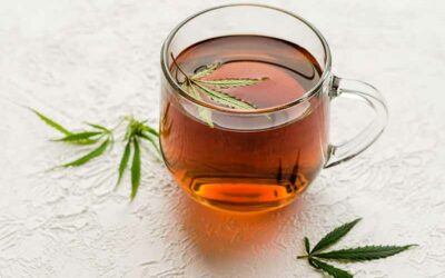 Les infusions au CBD