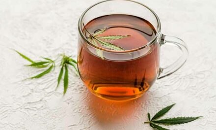 Les infusions au CBD